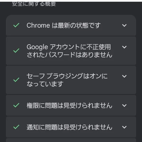 safetycheck-result2